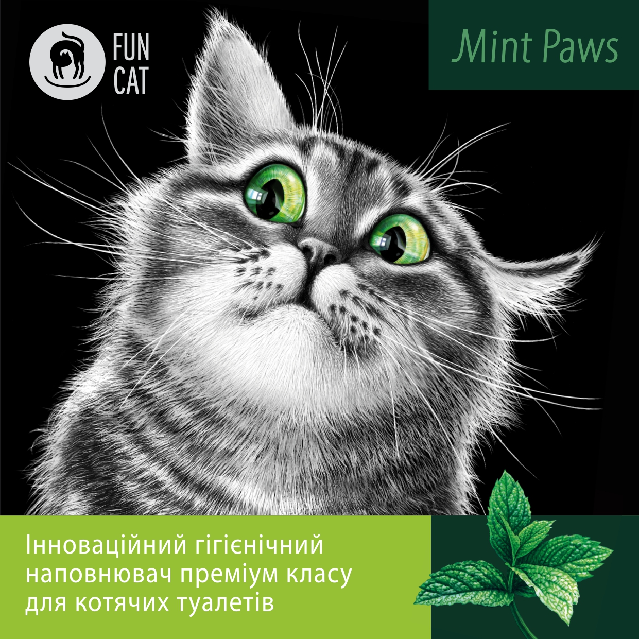 Mint Paws
